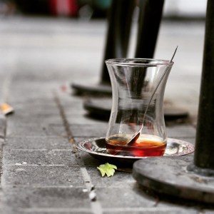 11255427_1594597144123096_981022455_n